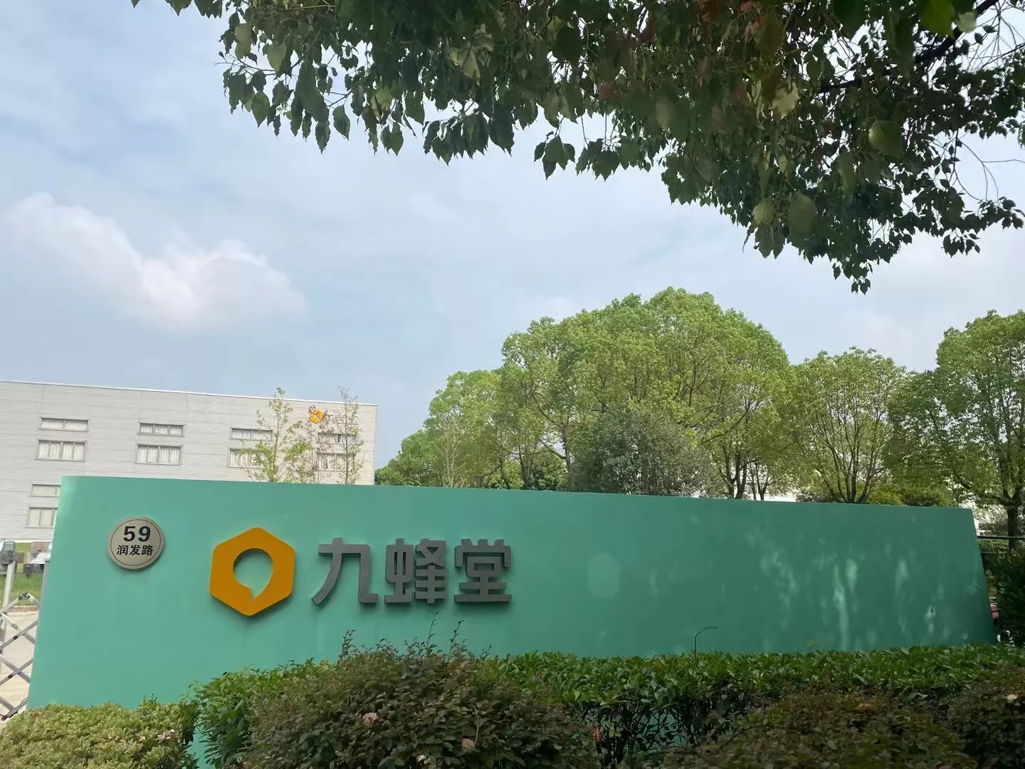 九蜂堂
